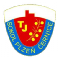 TJ Sokol Cernice