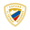 TJ Tatran Bohunice