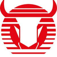 Toros Neza