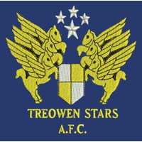 Treowen Stars