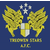 Treowen Stars