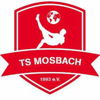 TS Mosbach 1993