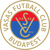 Vasas FC