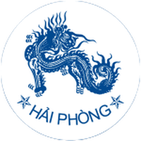 Vicem Hai Phong U19