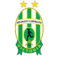 Victoria Adunatii Copaceni