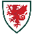 Wales U19