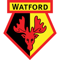 Watford (Youth)