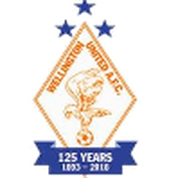 Wellington United Diamonds (W)