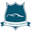 Wuhan Jiangda (W)'