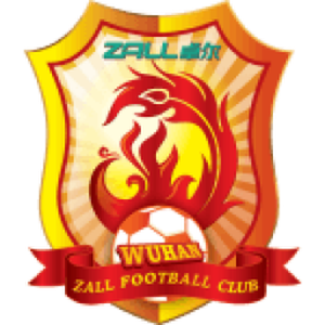 Wuhan Yangtze River FC(2009-2023)