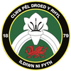 Y Rhyl 1879