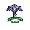 Young Elephant FC