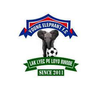 Young Elephant FC