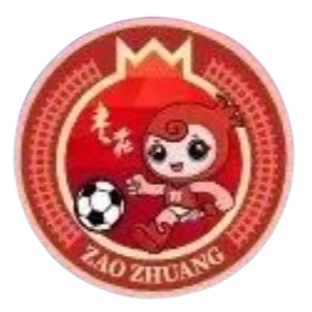 Zaozhuang Team