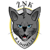 ZNK Radomlje (W)