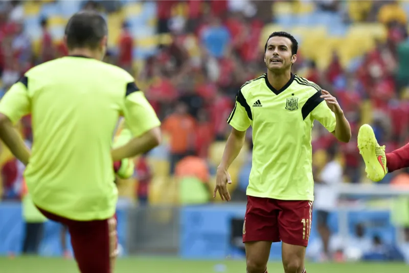 World Cup winner Pedro announces retirement after 20-year career
