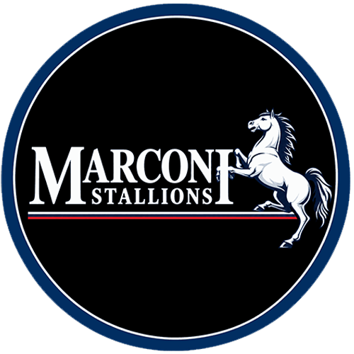 Marconi Stallions
