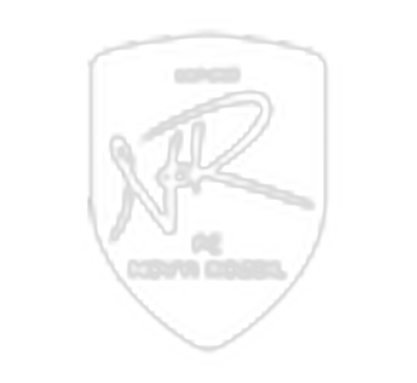 Novyi Rozdil